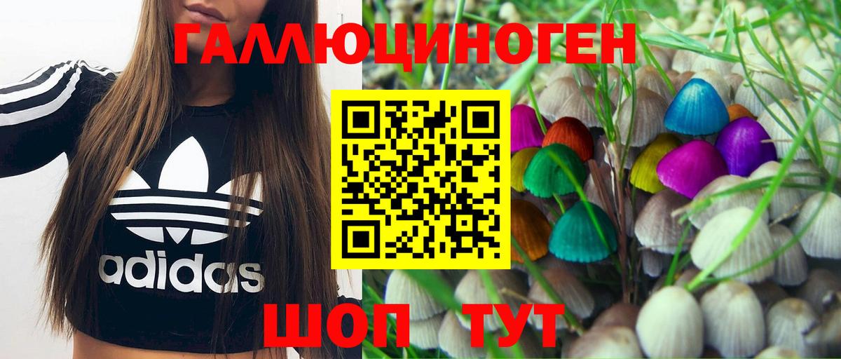 Тимашёвск  Галлюциногенные грибы GOLDEN TEACHER  Вход с VPN 